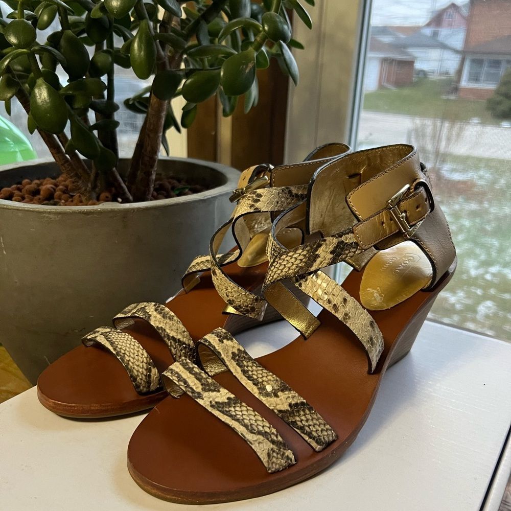 COACH Prue Snake embossed wedges